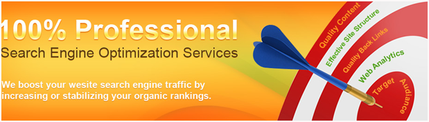 Search Engine Optimization Services in Ahmedabad